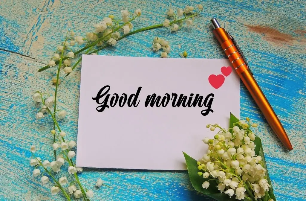 30+ Beautiful Good Morning | High Resolution Images 2025 24 Good Morning Flowers